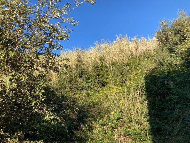 Carrer Romero de Torres, 32B, Pineda de Mar, Barcelona en venta - Foto del edificio - Imagen 2 de 3