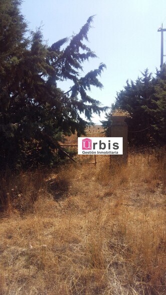 Terreno en Buenavista en venta - Foto del edificio - Imagen 3 de 3