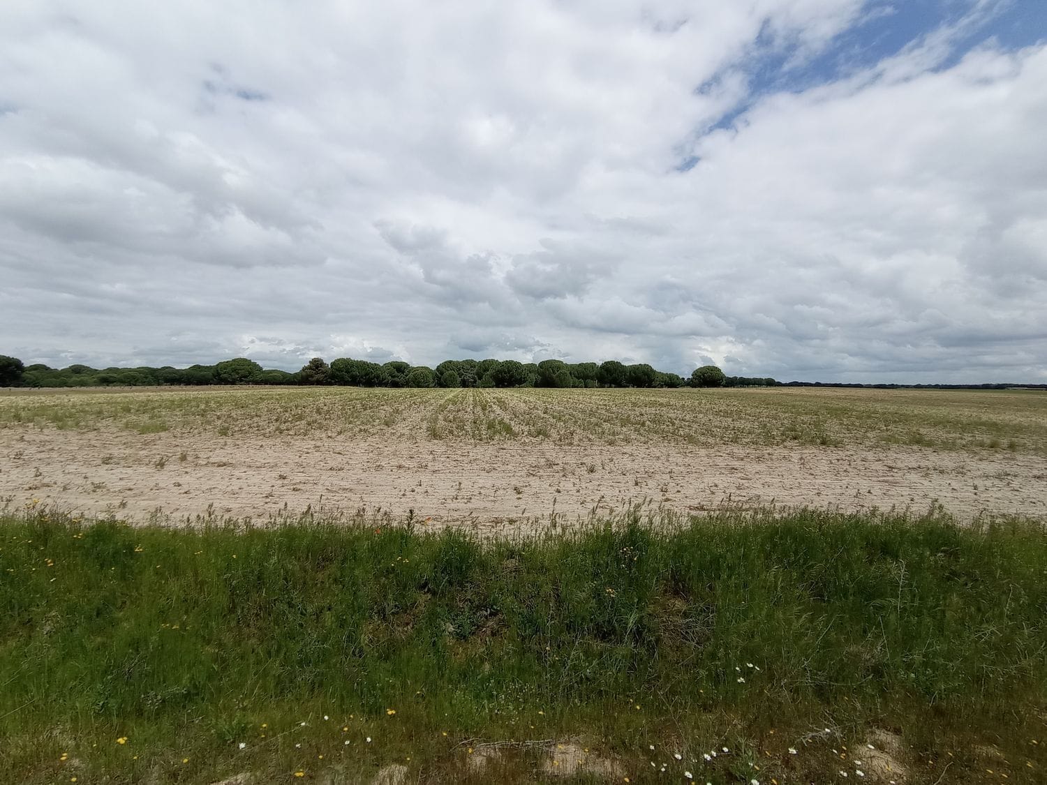 Parcela, 231, Matapozuelos, Valladolid en venta Foto principal- Imagen 1 de 20