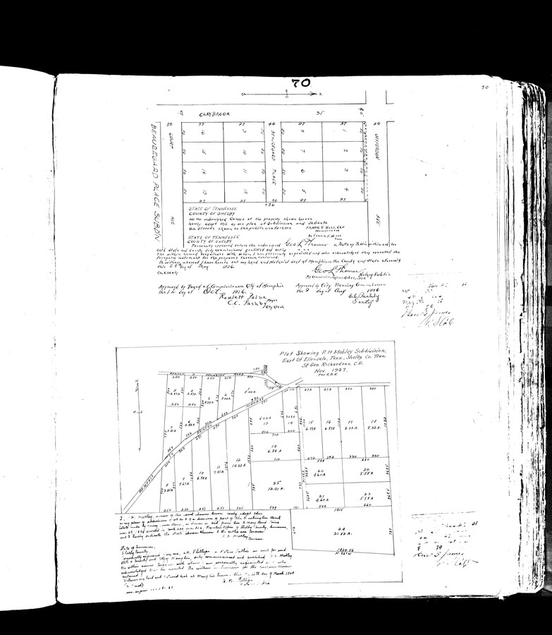 Plano del sitio