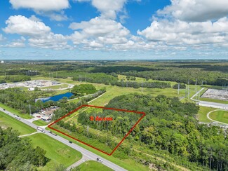 Más detalles para 0 Osceola Polk Line Rd, Davenport, FL - Terrenos en venta