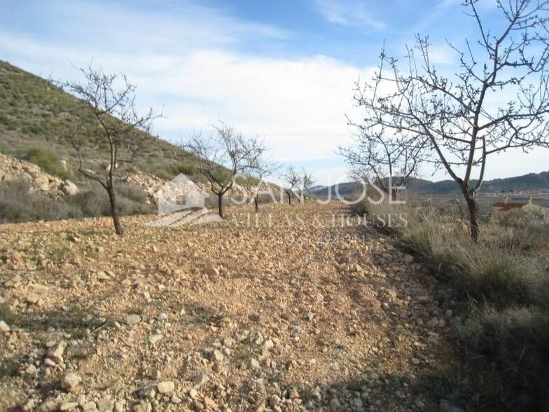 Terreno en HONDÓN DE LAS NIEVES en venta - Plano del sitio - Imagen 2 de 5