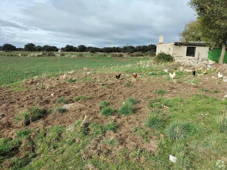 Terrenos en Ávila, Ávila en venta - Foto principal - Imagen 1 de 8