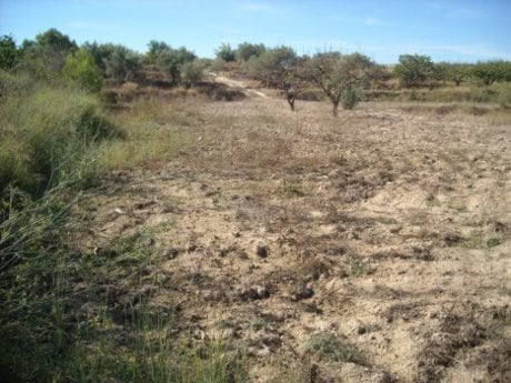 Terreno en Calasparra, Murcia en venta - Plano del sitio - Imagen 3 de 11