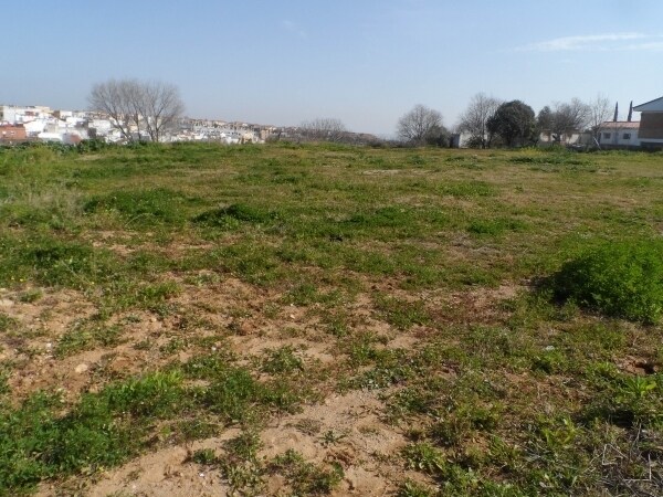 Más detalles de Escultor Ramón Barba, Córdoba, Brillante, 55, Córdoba - Terreno en venta