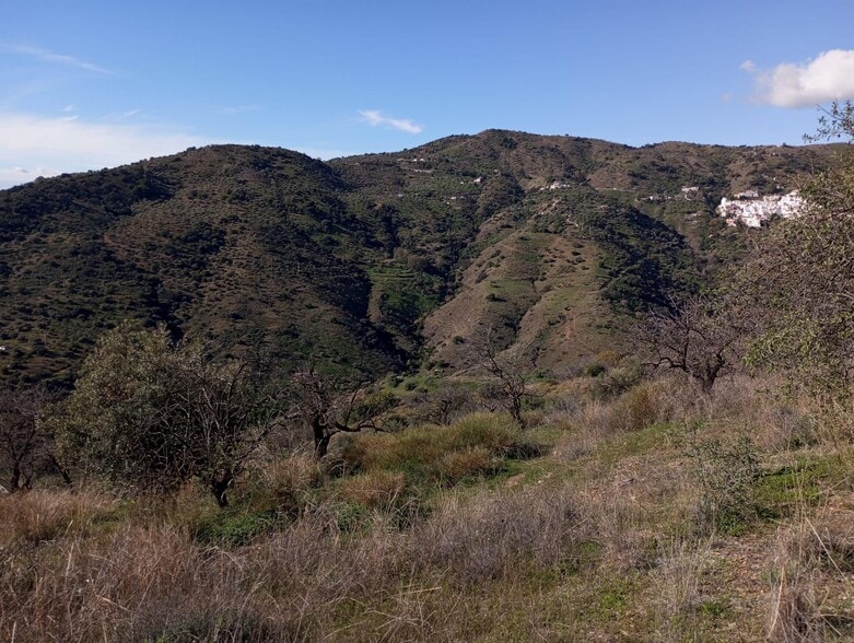 Totalán, 47, Málaga, Málaga en venta - Vista aérea - Imagen 1 de 19