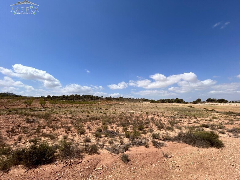 Terreno en Jumilla, Murcia en venta - Vista aérea - Imagen 2 de 5