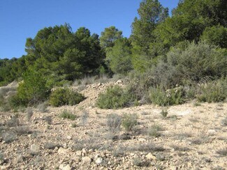 Más detalles de Terreno en venta