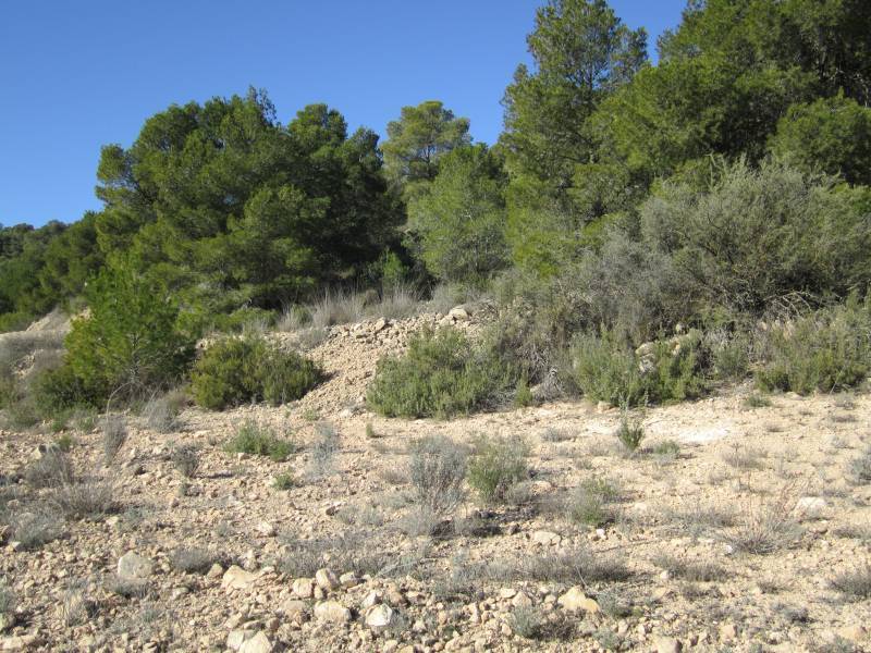 Terreno en MONÒVER, Alicante en venta Plano del sitio- Imagen 1 de 3