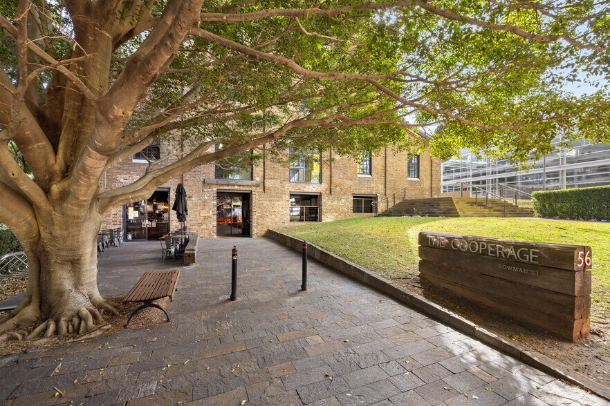 56 Bowman St, Pyrmont en alquiler - Foto del edificio - Imagen 2 de 12