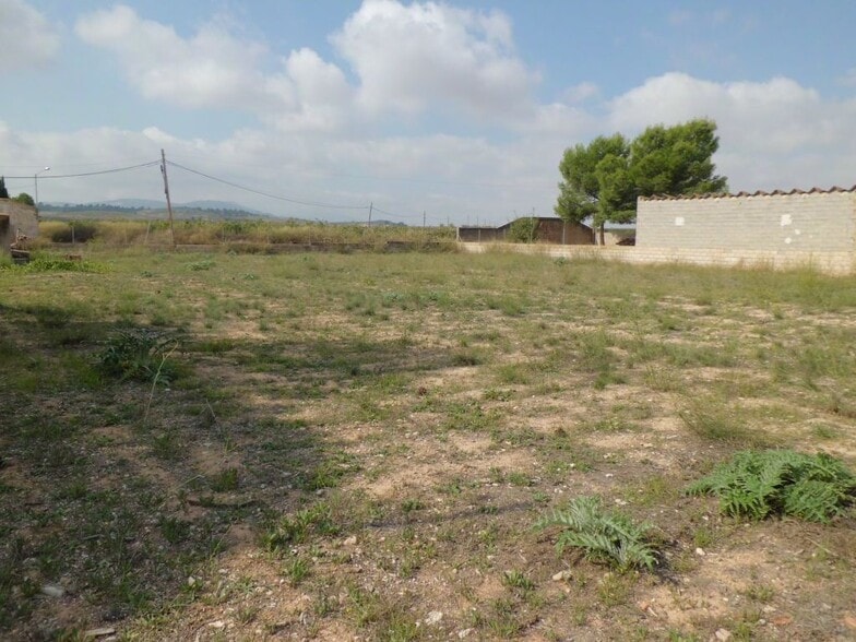 Terreno en PINOSO, Alicante en venta - Plano del sitio - Imagen 3 de 4