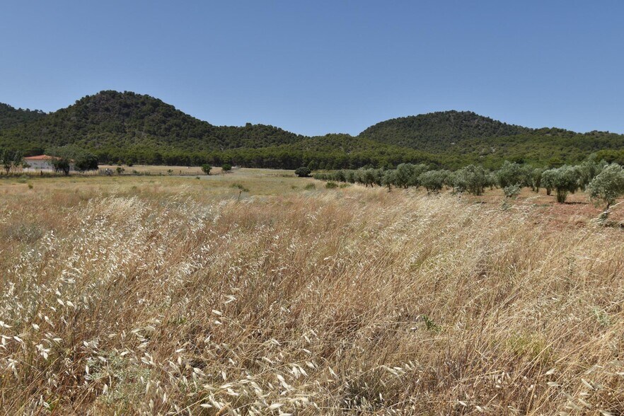 Terreno en Padul en venta - Vista aérea - Imagen 2 de 4