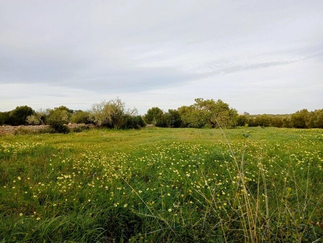 Más detalles de Terreno en venta