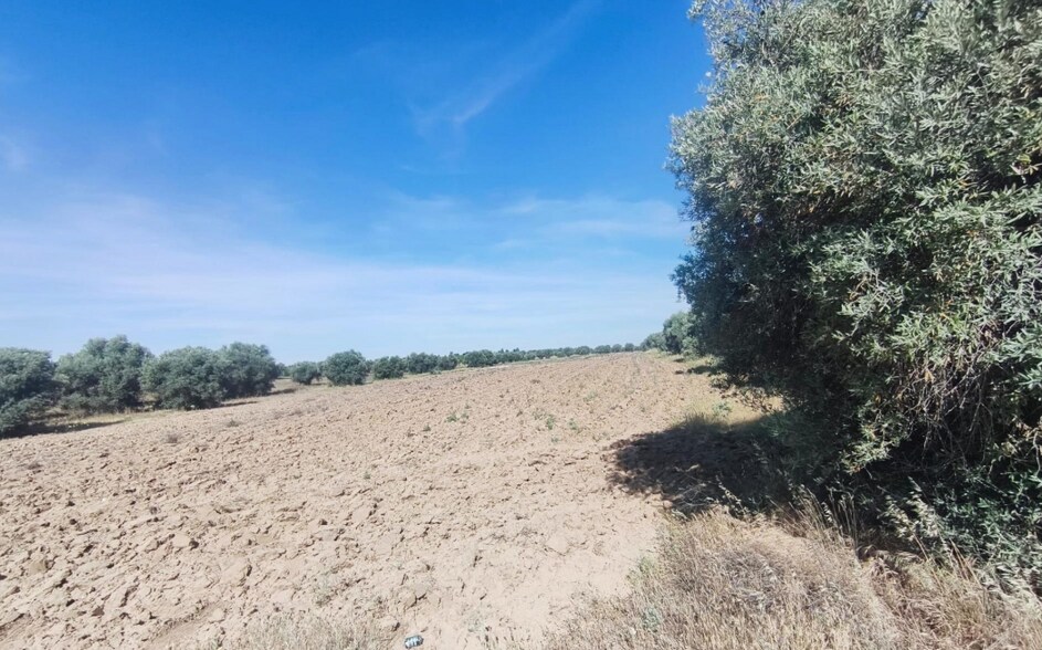 Terreno en Illescas, Toledo en venta - Otros - Imagen 3 de 3