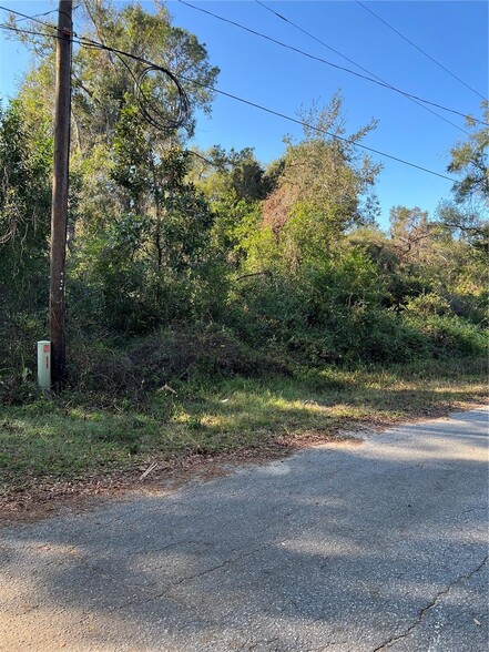 County Road 690, Webster, FL en venta - Otros - Imagen 3 de 4