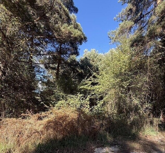 Terreno en Boñar en venta - Foto del edificio - Imagen 3 de 8