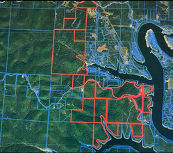 Carnation Ln, Cape Fair, MO - VISTA AÉREA  vista de mapa - Image1