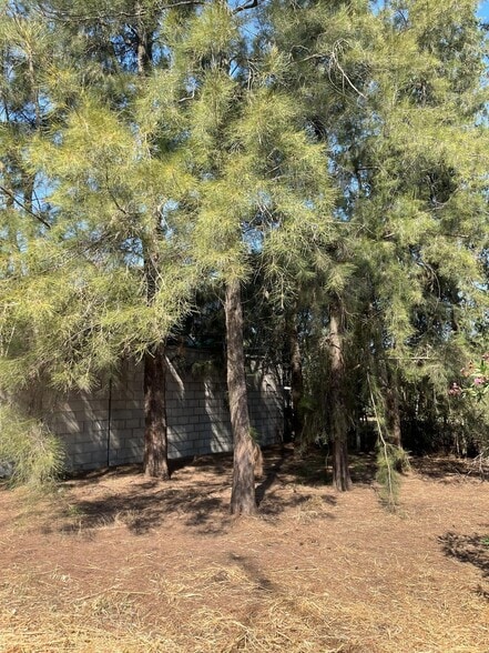 Terreno en Sanlúcar la Mayor, Sevilla en venta - Foto del edificio - Imagen 3 de 11