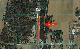 Más detalles para 00 Hwy 301, Summerfield, FL - Terrenos en venta