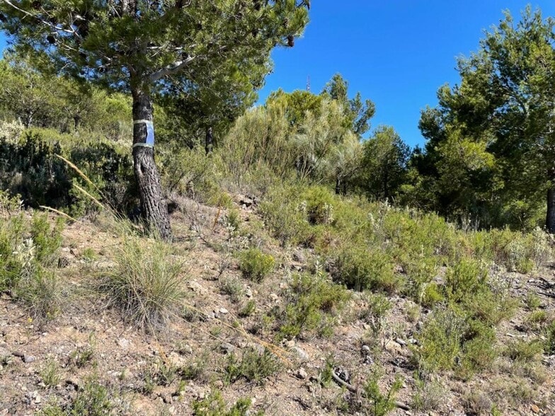 Terreno en Carataunas en venta - Foto del edificio - Imagen 3 de 8