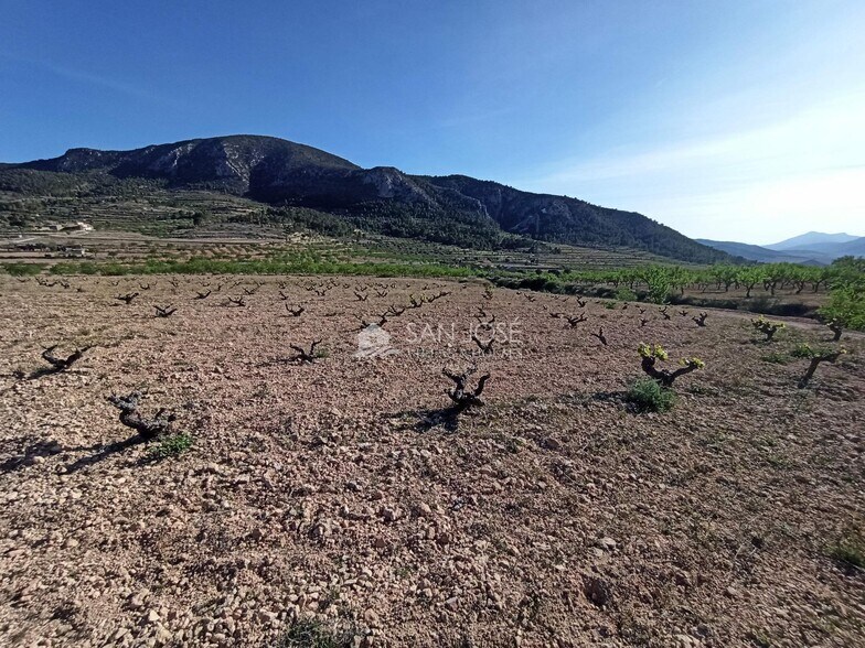 Terreno en Algueña en venta - Foto del edificio - Imagen 1 de 21