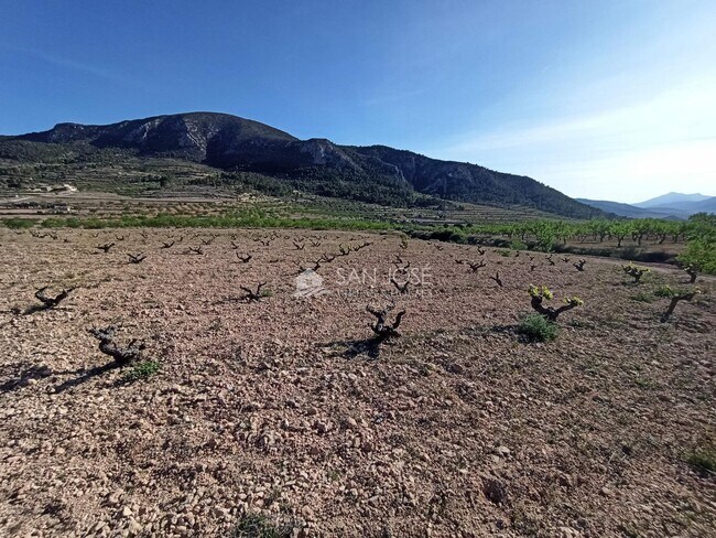 Más detalles de Partida Solana Alta de Algayat, 10, La Romana - Terreno en venta