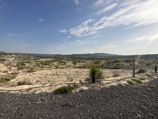 Terreno en Murcia, Murcia en venta Foto principal- Imagen 1 de 4