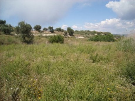 Terreno en Calasparra, Murcia en venta - Foto del edificio - Imagen 1 de 6