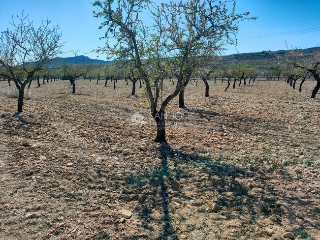 Más detalles de Terreno en venta