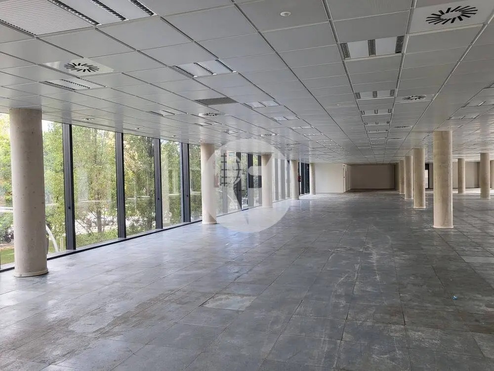 Plaça D'europa, L'hospitalet De Llobregat, Barcelona en alquiler Foto del interior- Imagen 1 de 14