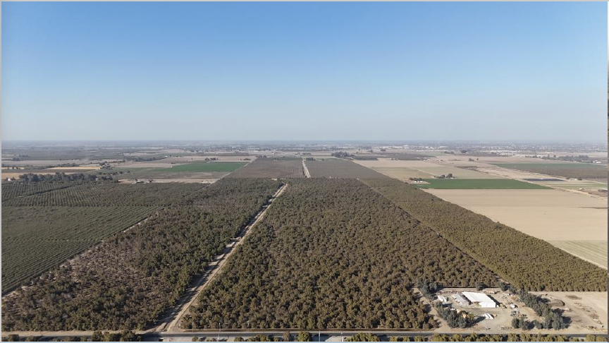 895.49 Acres Walnuts/Almonds/Open Ground cartera de 3 inmuebles en venta en LoopNet.es - Foto del edificio - Imagen 1 de 5