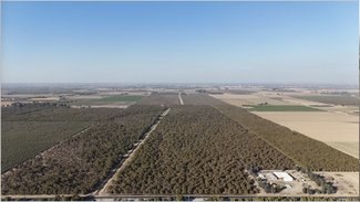 Más detalles para 895.49 Acres Walnuts/Almonds/Open Ground – Terrenos en venta, Hanford, CA