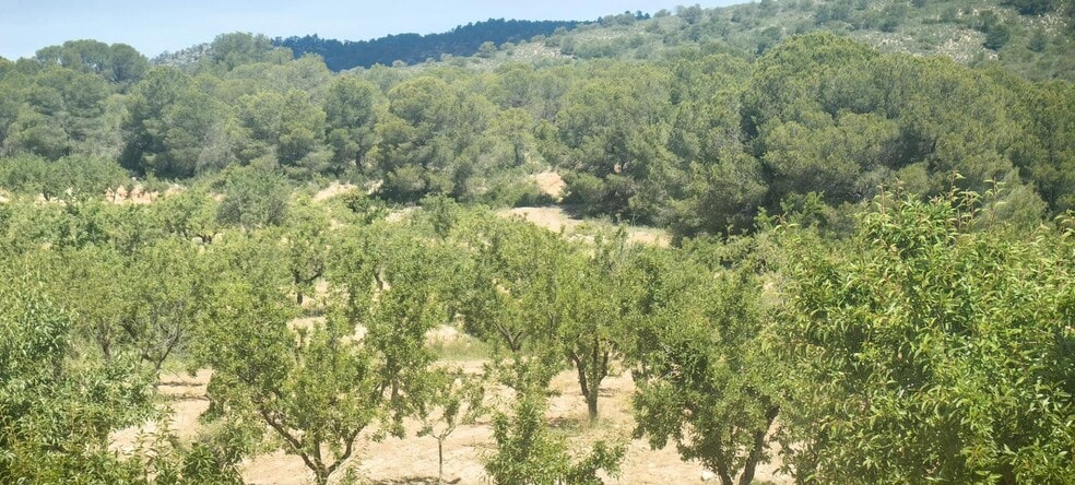 Terreno en Yecla, Murcia en venta - Vista aérea - Imagen 3 de 6