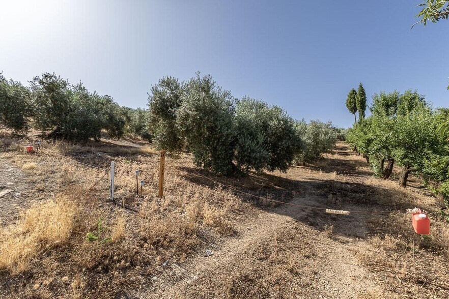 Terreno en Montefrío, Granada en venta - Foto del edificio - Imagen 2 de 16
