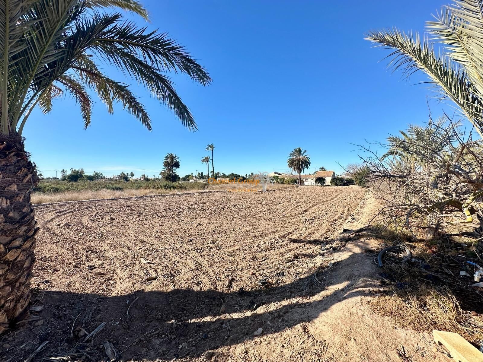 Parcela, Elche Pedanias, Asprillas, 74, Elche, Alicante en venta Plano del sitio- Imagen 1 de 5