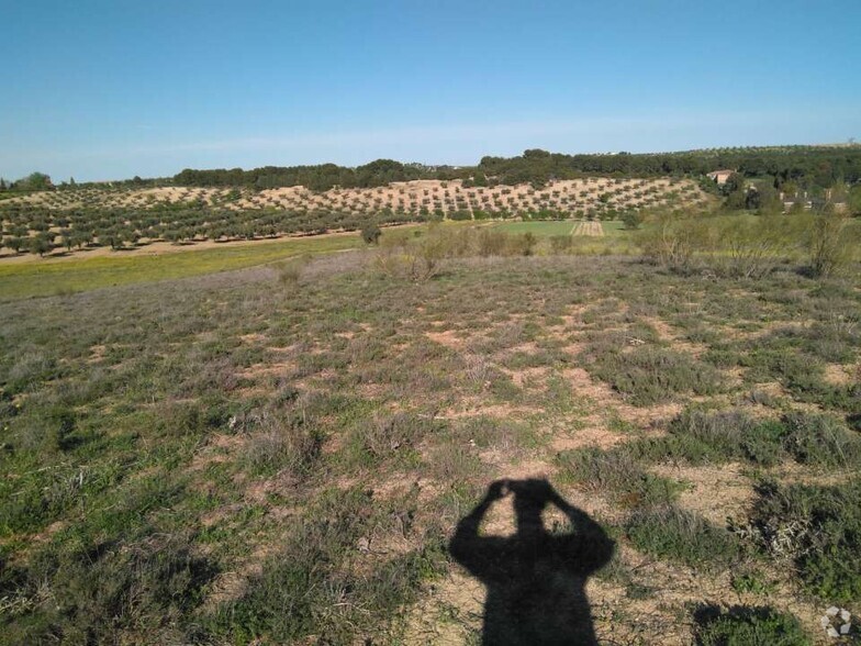 Terrenos en Bargas, Toledo en venta - Foto del edificio - Imagen 2 de 6