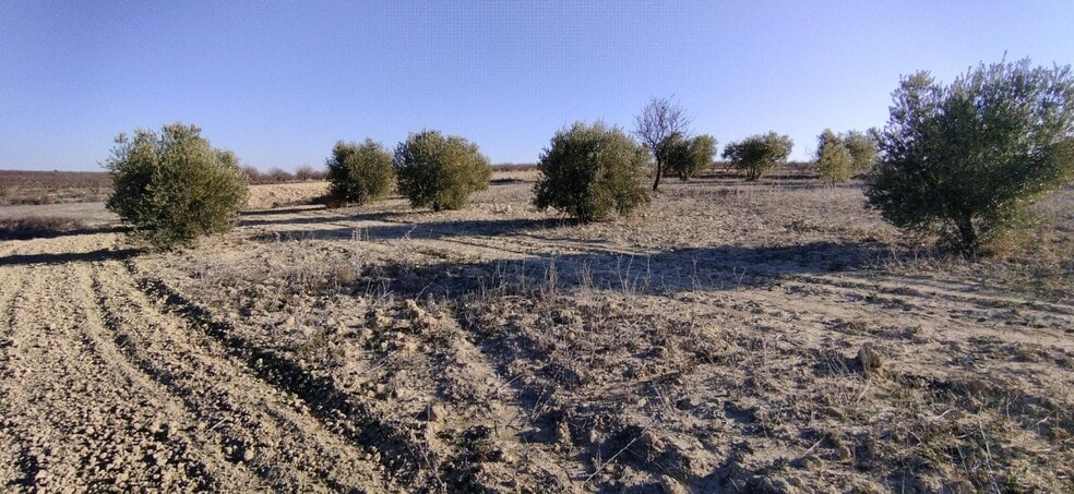 Terreno en Calasparra, Murcia en venta - Foto del edificio - Imagen 3 de 15
