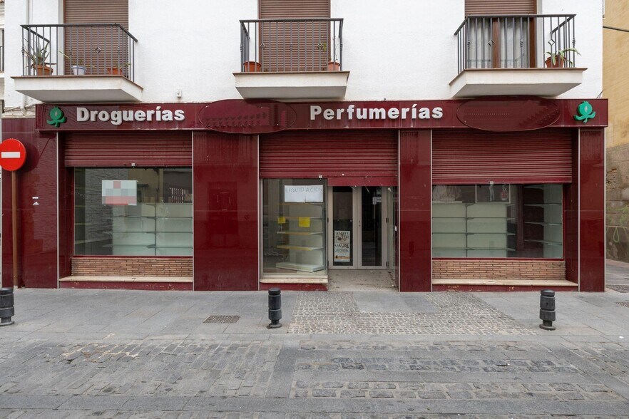 Local en Santa Fe, Granada en venta - Foto del edificio - Imagen 3 de 24