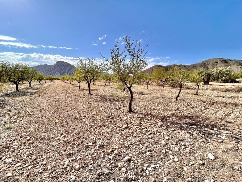 Terreno en Orihuela, Alicante en venta - Vista aérea - Imagen 3 de 5