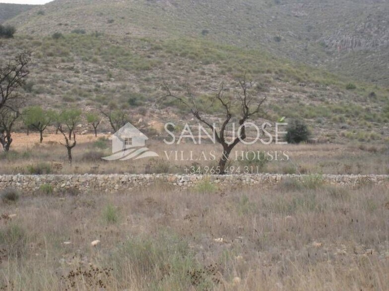 Terreno en Hondón de los Frailes en venta - Foto del edificio - Imagen 2 de 4