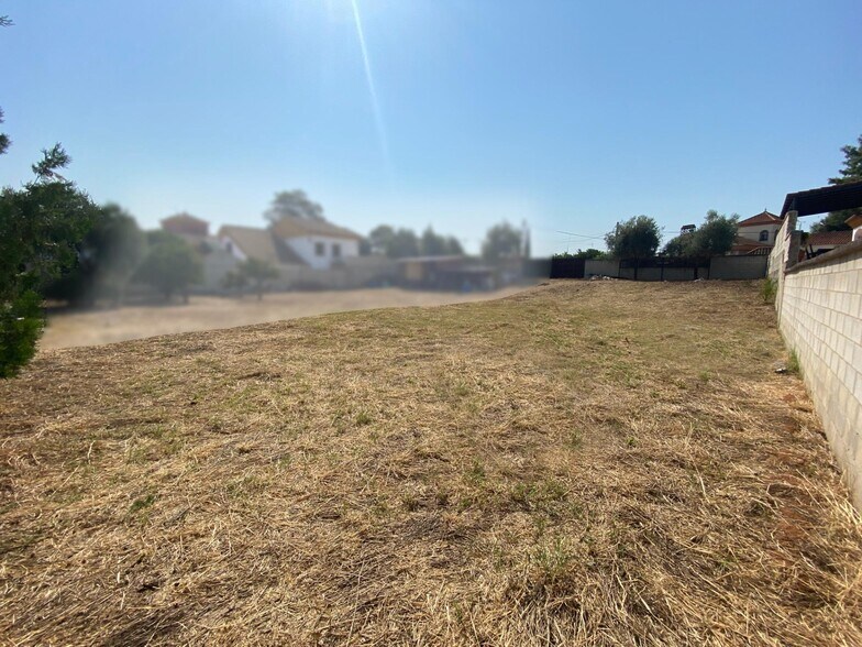 Terreno en Palomares del Río, Sevilla en venta - Foto del edificio - Imagen 2 de 10