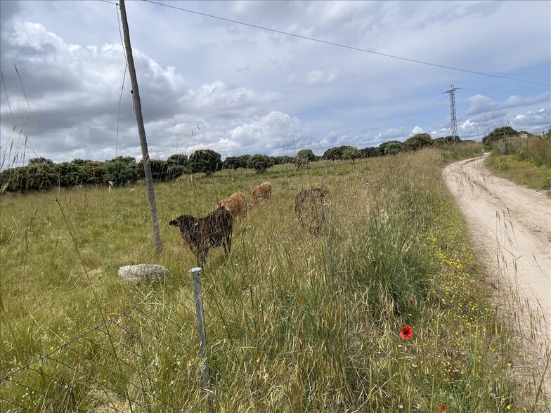 Polígono, 95, Hoyos del Espino, Ávila en venta - Foto principal - Imagen 2 de 14