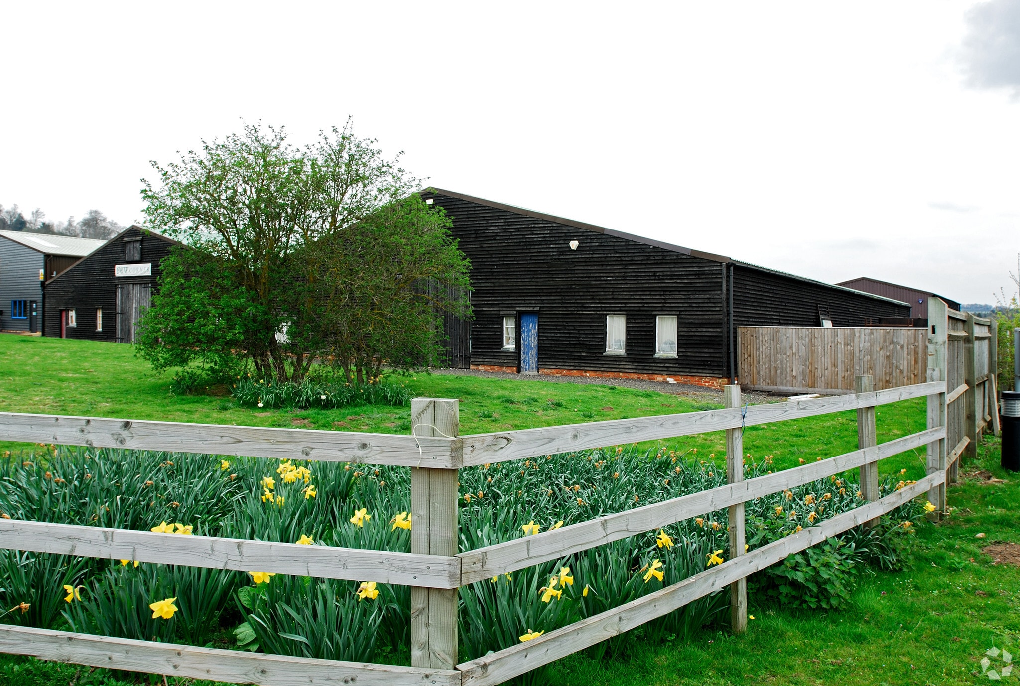 Old Portsmouth Rd, Guildford en alquiler Foto principal- Imagen 1 de 5