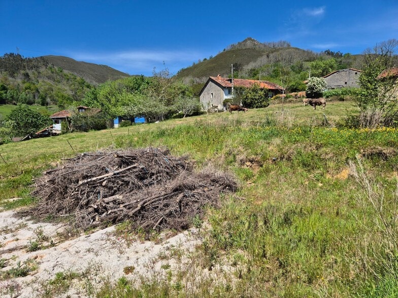 Lugar San Martín, 26, Cangas de Onís, Asturias en venta - Foto del edificio - Imagen 2 de 21