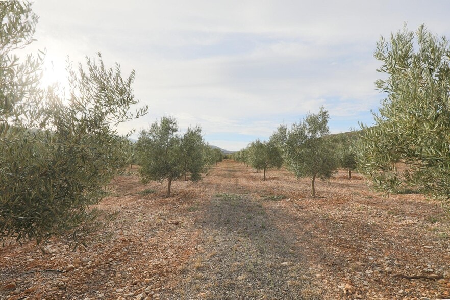 Cijancos, 1-1, Villamena, Granada en venta - Foto del edificio - Imagen 2 de 29
