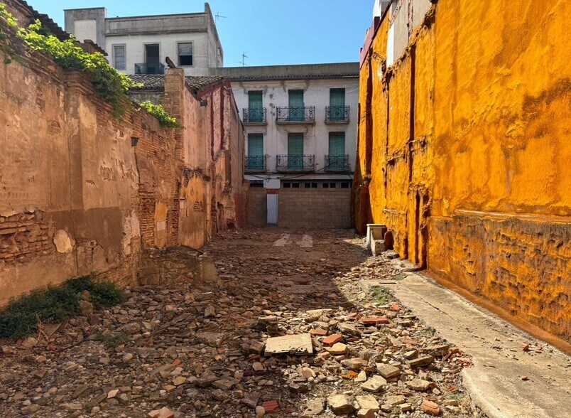 Terreno en Algemesí en venta - Foto del edificio - Imagen 3 de 4