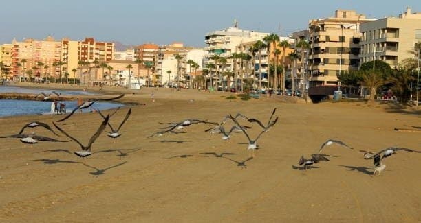 Terreno en Águilas, Murcia en venta - Foto del edificio - Imagen 3 de 3