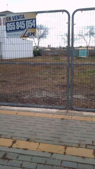 Terreno en Marchena, Sevilla en venta - Foto de la construcción - Imagen 2 de 5