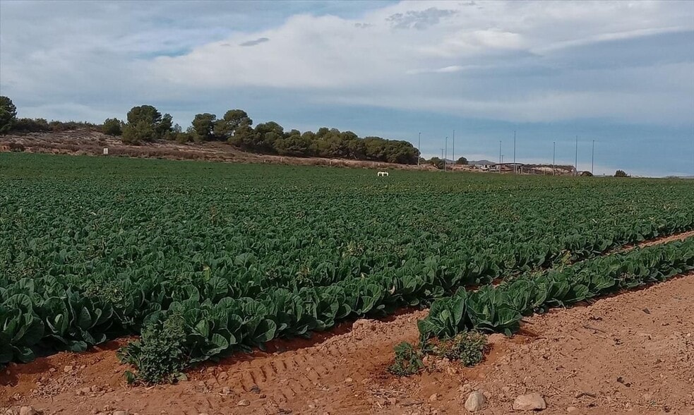 Calle Pp Granados, 5 R, Murcia, Murcia en venta - Foto del edificio - Imagen 3 de 12