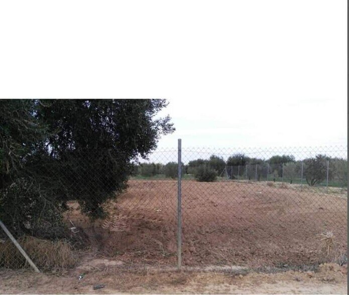 Terreno en Marchena, Sevilla en venta - Plano del sitio - Imagen 2 de 5
